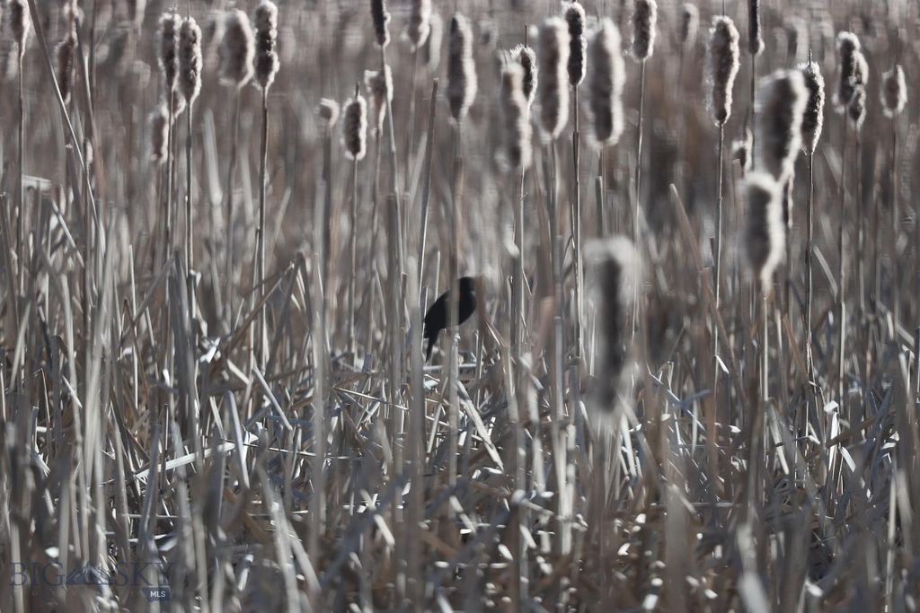 5191 Old Yellowstone Trail, Three Forks, MT 59752 photo 13