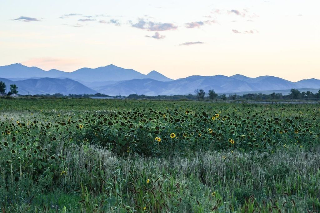 5191 Old Yellowstone Trail, Three Forks, MT 59752 photo 15