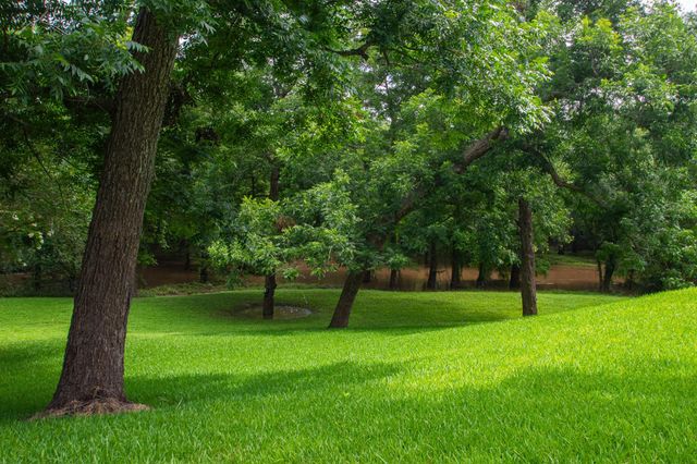 11935 County Road 170, Boling, TX 77420