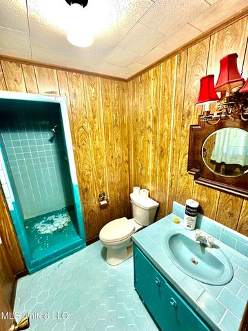 621 NE Felder Lane, Brookhaven, MS 39601