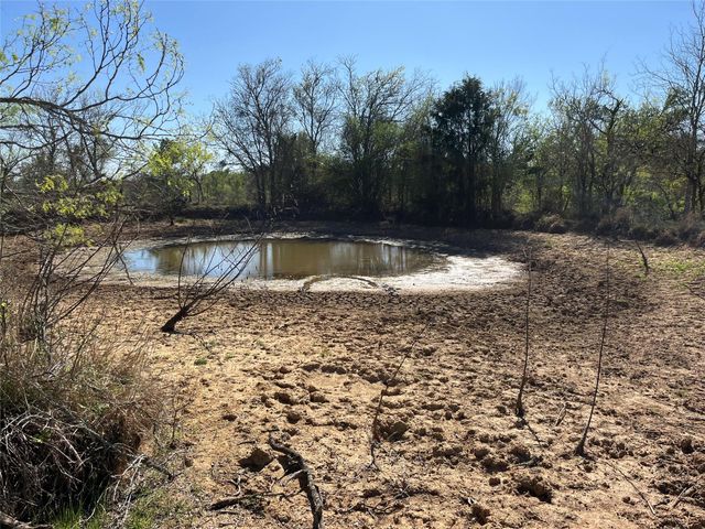 TBD FM 619, Thrall, TX 76578