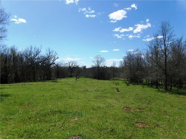 TBD FM 619, Thrall, TX 76578