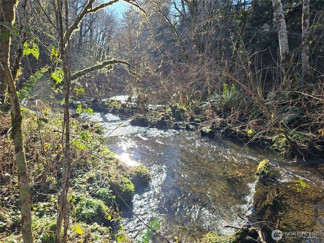 1531 W Ford Road, Matlock, WA 98560