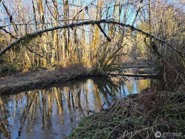 1531 W Ford Road, Matlock, WA 98560