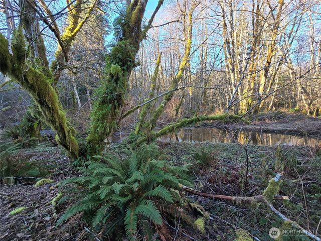 1531 W Ford Road, Matlock, WA 98560