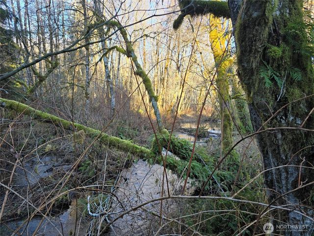 1531 W Ford Road, Matlock, WA 98560