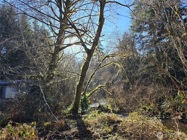 1531 W Ford Road, Matlock, WA 98560