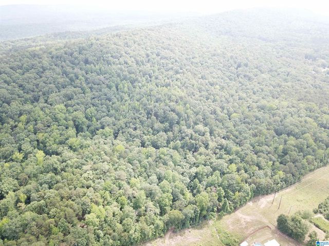 9063 BUSH AVENUE, Leeds, AL 35094