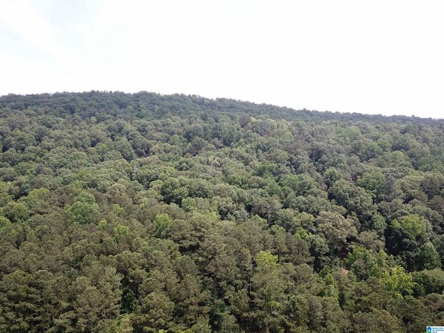 9063 BUSH AVENUE, Leeds, AL 35094