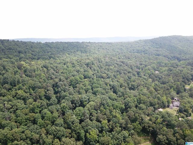 9063 BUSH AVENUE, Leeds, AL 35094