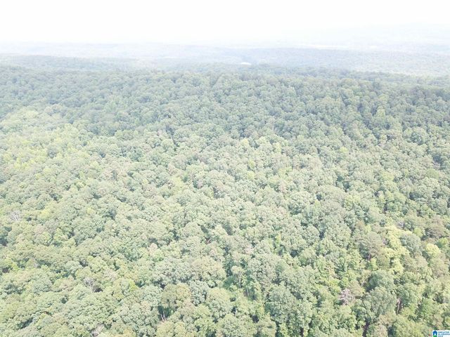 9063 BUSH AVENUE, Leeds, AL 35094