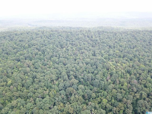 9063 BUSH AVENUE, Leeds, AL 35094