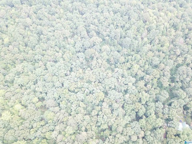 9063 BUSH AVENUE, Leeds, AL 35094