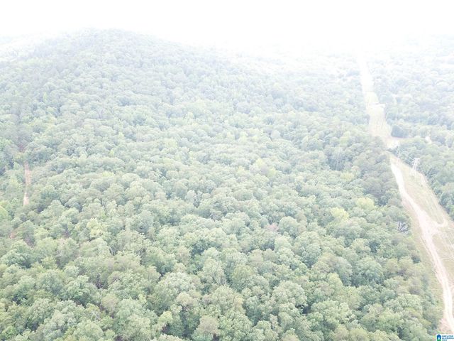 9063 BUSH AVENUE, Leeds, AL 35094