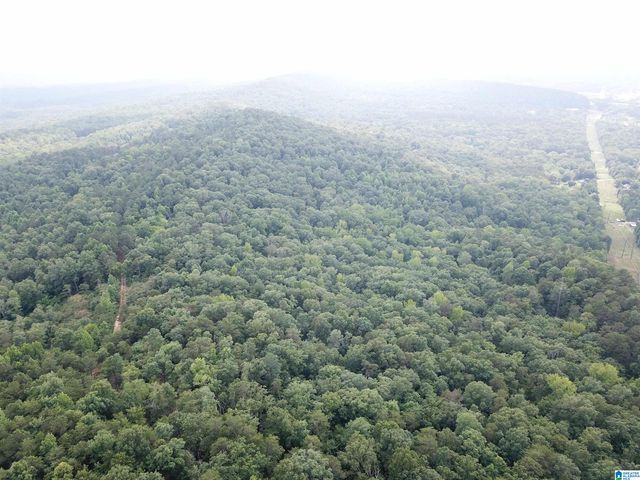 9063 BUSH AVENUE, Leeds, AL 35094