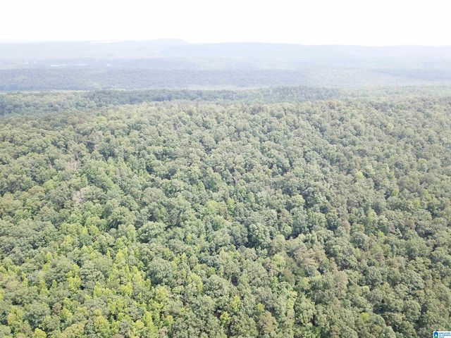 9063 BUSH AVENUE, Leeds, AL 35094