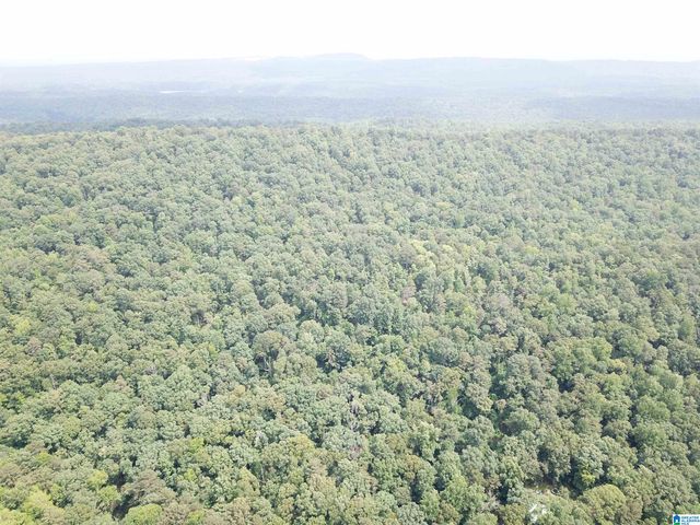 9063 BUSH AVENUE, Leeds, AL 35094