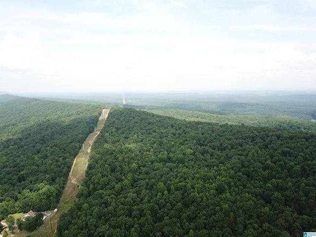 9063 BUSH AVENUE, Leeds, AL 35094