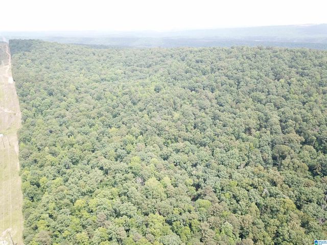 9063 BUSH AVENUE, Leeds, AL 35094