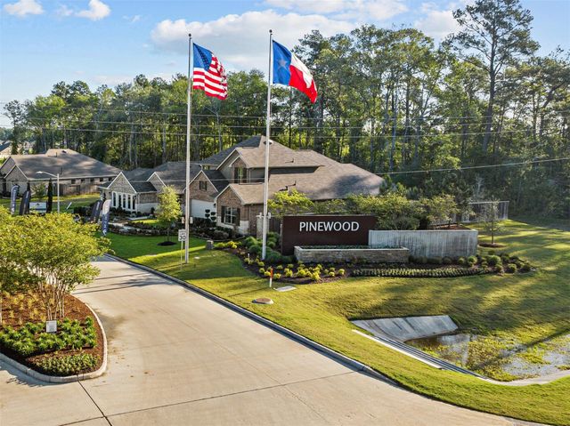 22406 Curly Maple Drive, New Caney, TX 77357