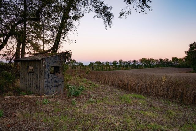 6 Sturgeon Creek Road, Cedar Hill, TN 37032