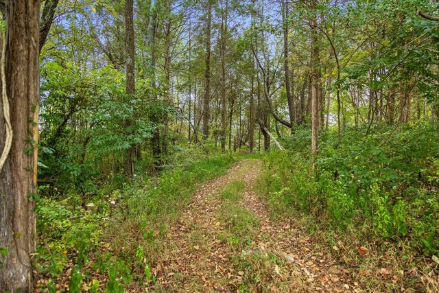 6 Sturgeon Creek Road, Cedar Hill, TN 37032