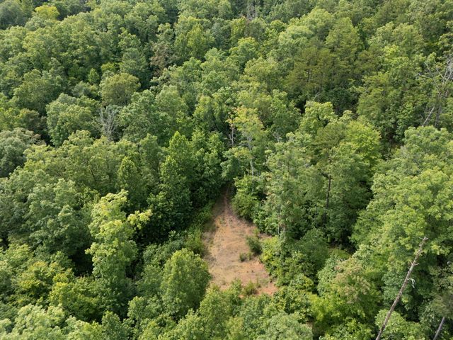 2401 Bell Point Road, Beattyville, KY 41311