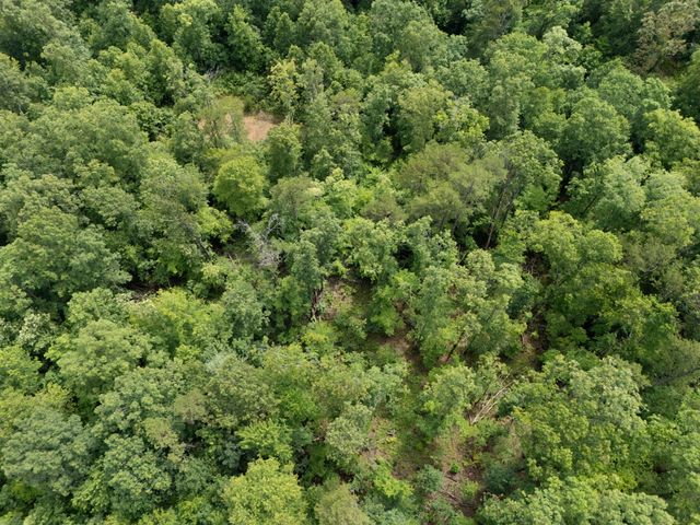 2401 Bell Point Road, Beattyville, KY 41311