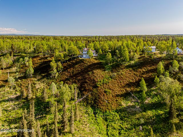 64460 Oil Well Road, Ninilchik, AK 99639