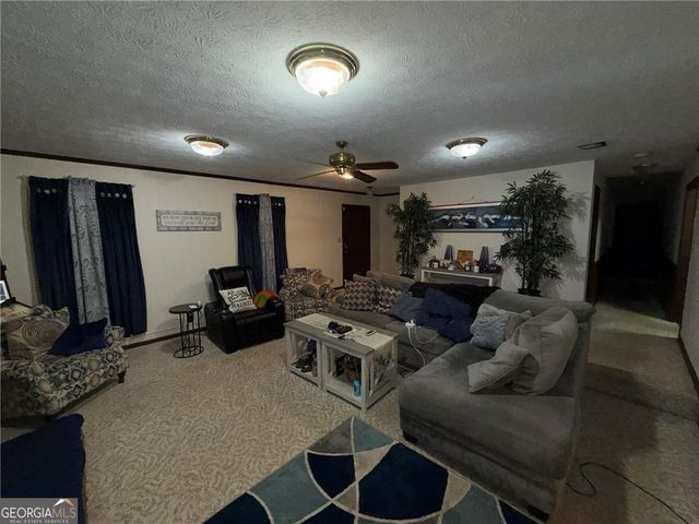 217 Babbs Mill Road, Hampton, GA 30228