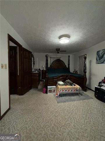 217 Babbs Mill Road, Hampton, GA 30228