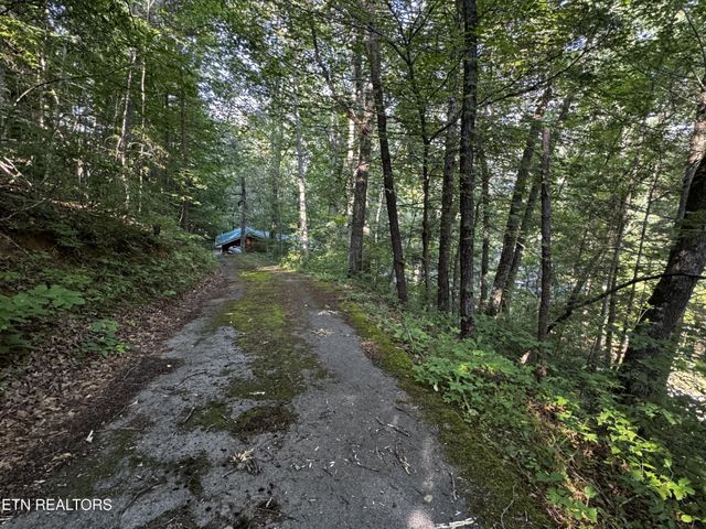 530 Parton Drive, Gatlinburg, TN 37738