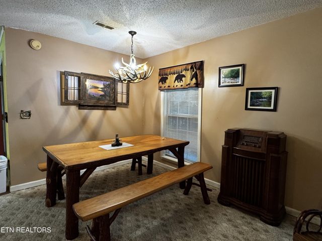 530 Parton Drive, Gatlinburg, TN 37738
