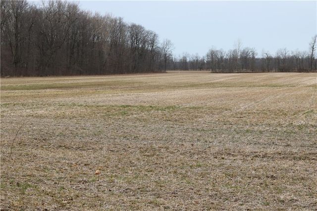 0 (Parcel 2) Freemont Moore Road, Sheridan, IN 46069