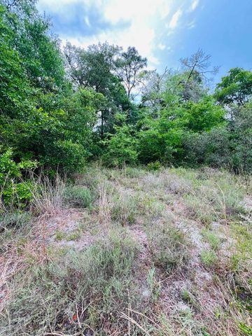 2523 Palmetto Terrace, Lanark Village, FL 32323