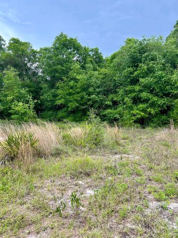 2523 Palmetto Terrace, Lanark Village, FL 32323