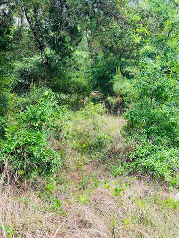 2523 Palmetto Terrace, Lanark Village, FL 32323