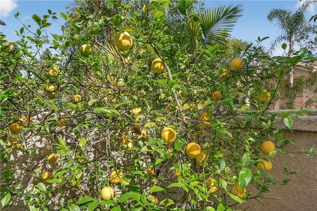 1 Encantado Canyon, Rancho Santa Margarita, CA 92688