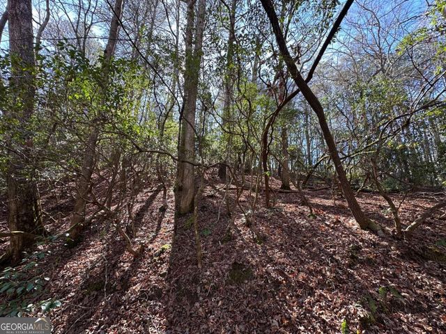 0 Coffee Mill Run, Talking Rock, GA 30175