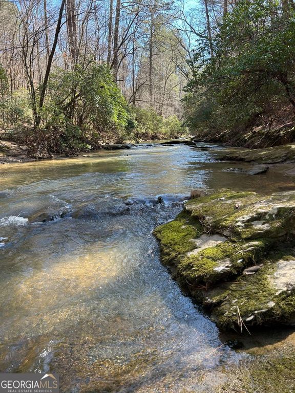 0 Coffee Mill Run, Talking Rock, GA 30175