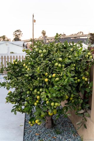 1309 E 1st Street, National City, CA 91950