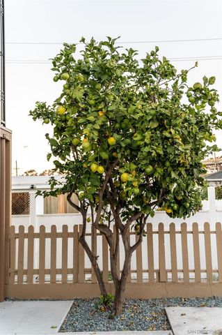 1309 E 1st Street, National City, CA 91950