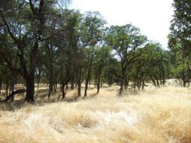 Oak Run Rd, Millville, CA 96062
