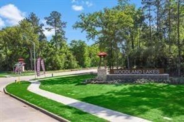 802 Wembley Wood Way, Houston, TX 77336