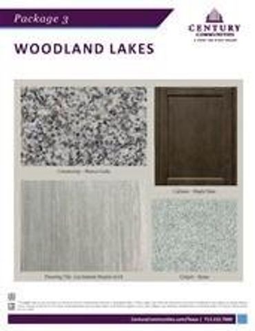 802 Wembley Wood Way, Houston, TX 77336