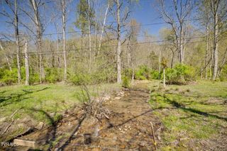 Tbd Morrell Creek Lane, Bluff City, TN 37618