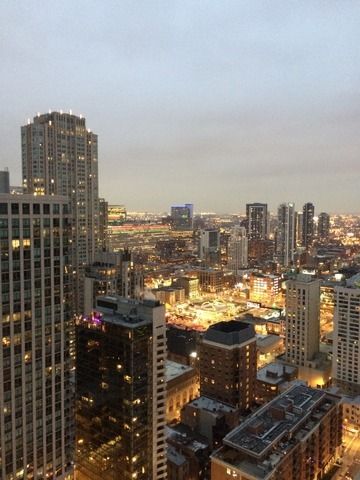 25 E Superior Street 3903, Chicago, IL 60611