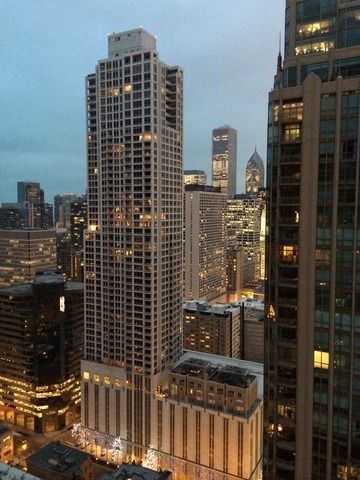 25 E Superior Street 3903, Chicago, IL 60611