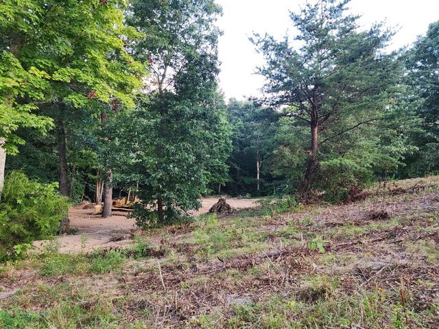 373 Forest Trail Drive, Berea, KY 40403