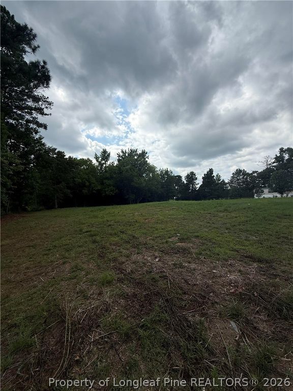 Carroll Store Road, Autryville, NC 28318 — photo 2